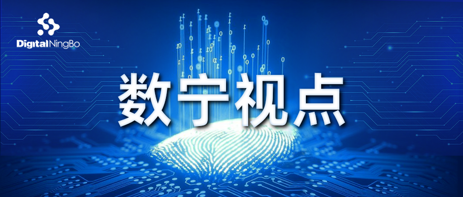 數(shù)寧視點|釋放公共數(shù)據(jù)價值的實踐路徑探索