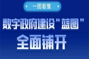 數(shù)字政府建設(shè)“藍圖”全面鋪開